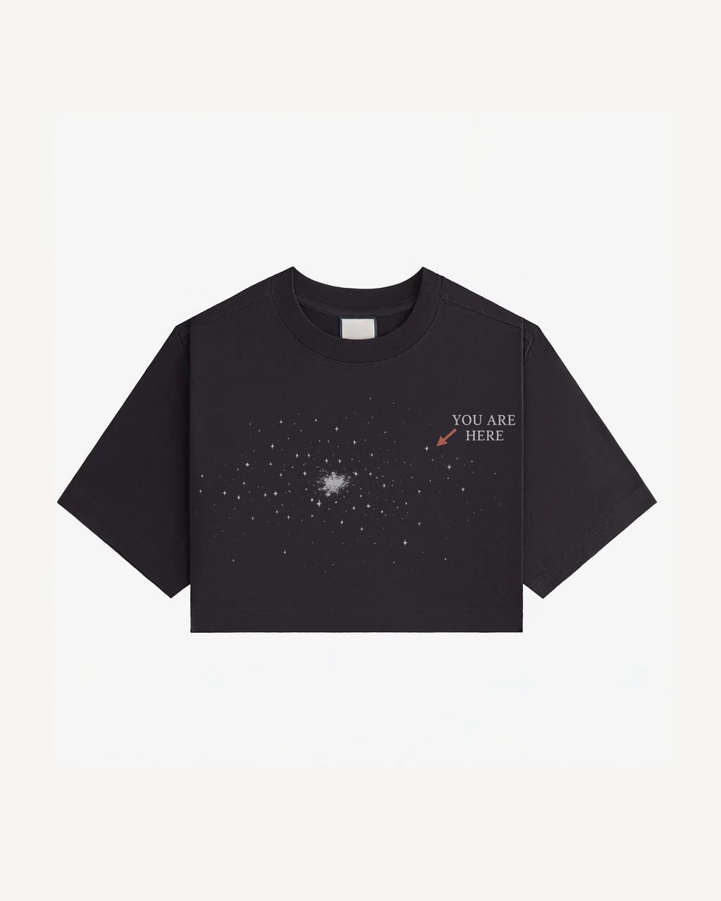 Universe Crop Top
